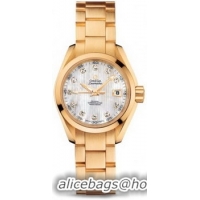 Omega Seamaster Aqua Terra Automatic Watch 158591M
