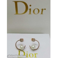 Cheapest Dior Earrings DJ14072841