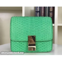 New Style Celine Python Leather Classic Box Small Bag 703083 Green