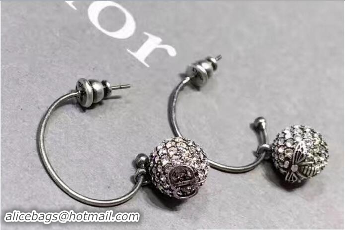 Good Looking Dior Earrings 419038