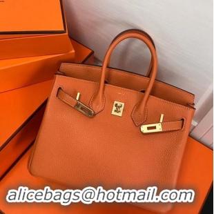 Affordable Price Hermes Birkin 25cm Bag Orange in Togo Leather With Gold Hardware 423012