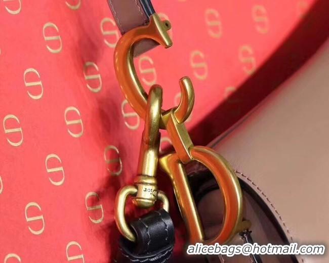 Grade Quality Dior SADDLE BAG CALFSKIN M0447 Apricot