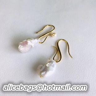 Chic Small CELINE Earrings CE2346