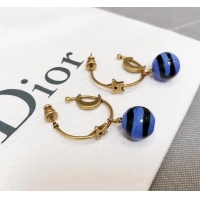 Practical Dior Starry Sky Pendant Earrings Blue J717013