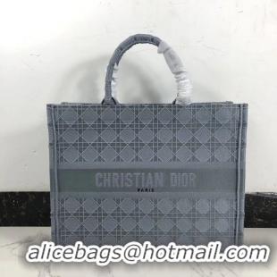 Affordable Price DIOR BOOK TOTE BAG IN EMBROIDERED CANVAS C1286 grey blue