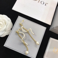 Perfect Dior Earrings CE4517