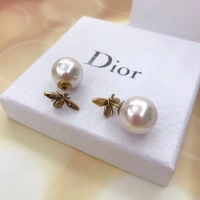 Best Luxury Dior Earrings CE5136