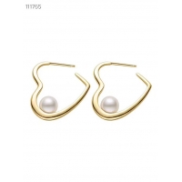Practical Celine Earrings CE5046