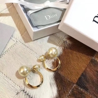 Discount Dior Earrings CE5183