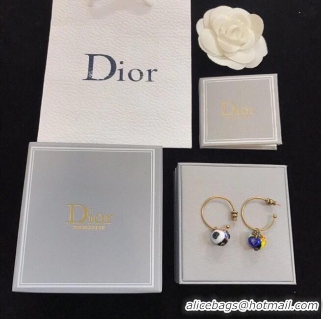 Buy Classic Dior Earrings CE6329