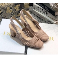 Best Quality Dior x Moi Slingback Pumps in Nude Cannage Embroidered Mesh 111303