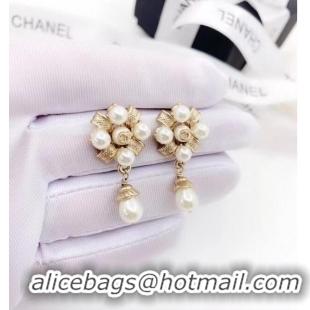 Classic Inexpensive Chanel Earrings CE6436