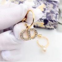 Newly Launched Dior Earrings CE6485
