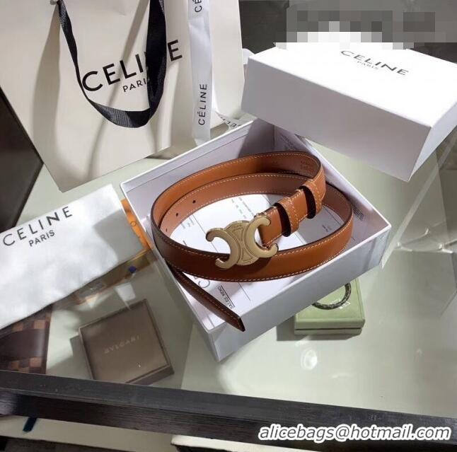 Buy Discount Celine Width 2.5cm Caflskin Belt With Brass Buckle C50405 Brown 2020