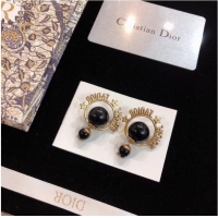 Good Product Dior Earrings CE6559