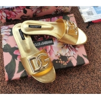Elegant Dolce & Gabbana DG Metallic Leather Flat Slide Sandals 092233 Gold 2021
