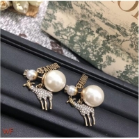 New Product Wholesale Dior Earrings CE7556