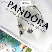 Pretty Style Inexpensive Pandora Bracelet CE6869