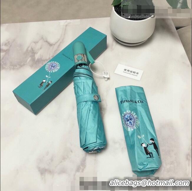 Spot Bulk Tiffany Love Lock Umbrella Tiffany T1019 Blue 2022