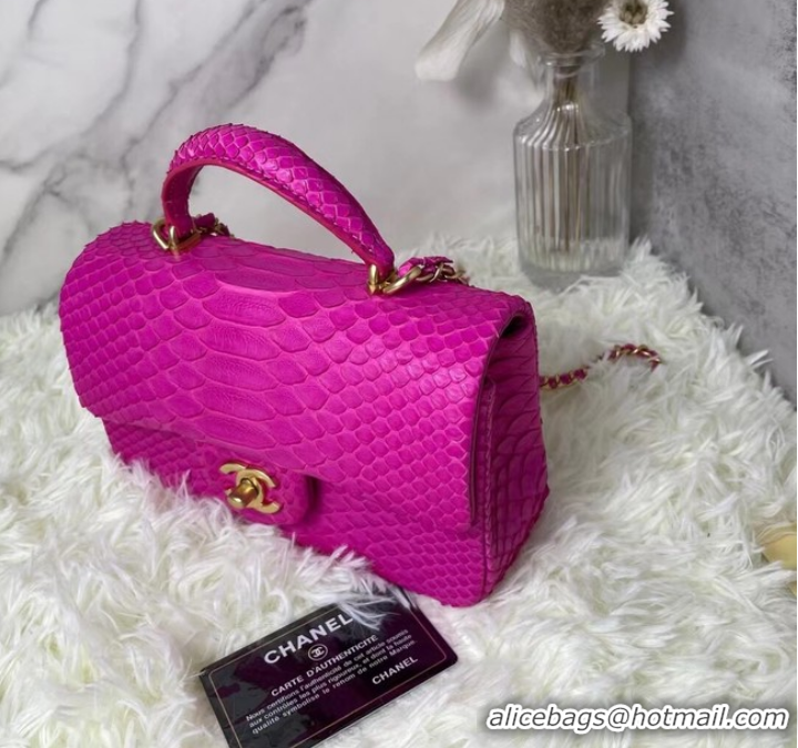 Unique Style Chanel Snake skin mini flap bag with top handle AS2431 PLUM PURPLE