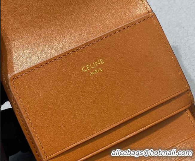 Reasonable Price Celine Compact Wallet in Triomphe Canvas 10I653 Brown 2021