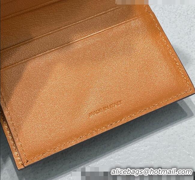 Reasonable Price Celine Compact Wallet in Triomphe Canvas 10I653 Brown 2021