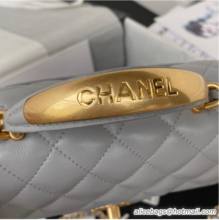 Top Design Chanel MINI FLAP BAG WITH TOP HANDLE AS2431 gray