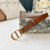 Most Popular Dior Leather Belt 20MM 2798