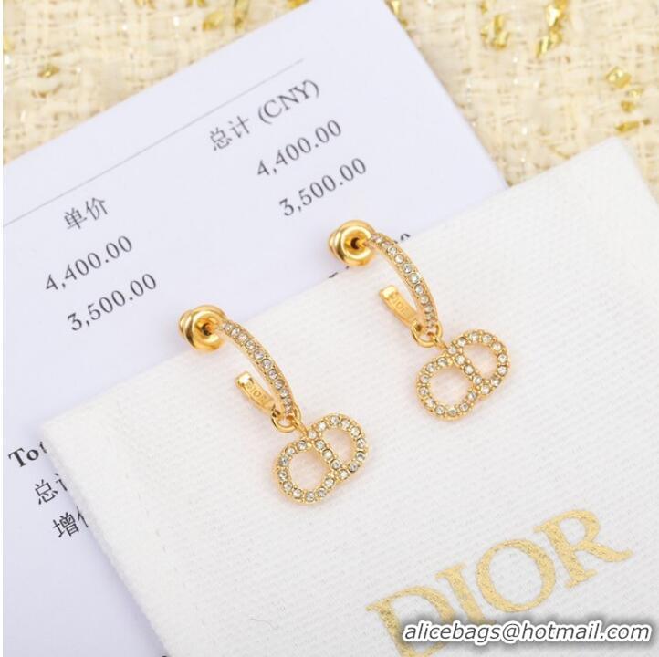 Shop Top Quality Dior Earrings CE8053