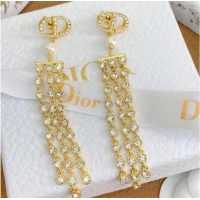 Reasonable Price Promotional Dior Earrings CE7994