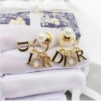Good Product Dior Earrings CE8001