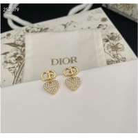 Spot Sumptuous Dior Earrings CE8670