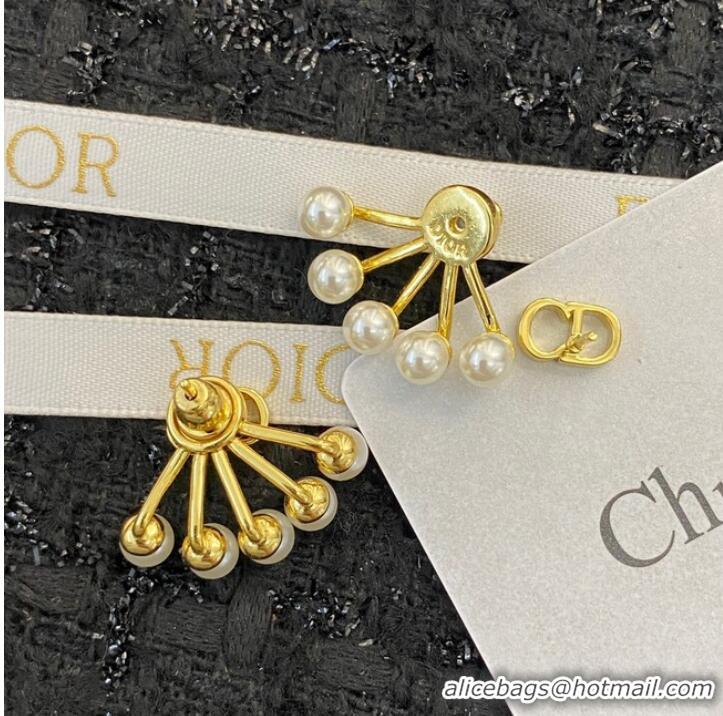 Buy Classic Dior Earrings CE10205