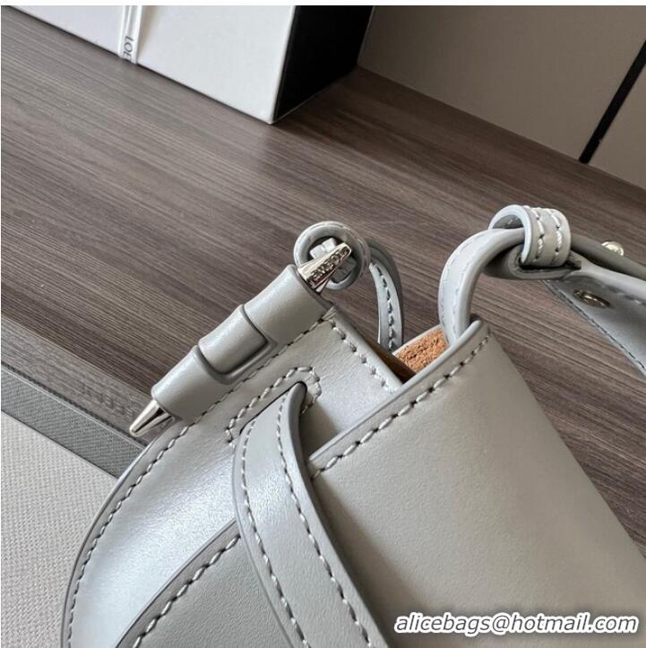Reasonable Price Loewe Crossbody Bags Original Leather 61824 light gray