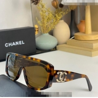 Traditional Specials Chanel Sunglasses CH5495 2023