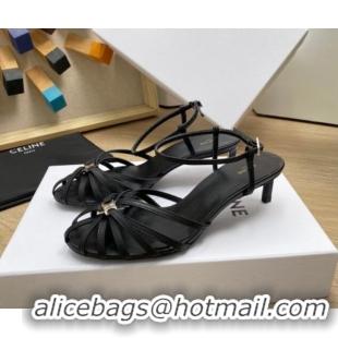 Classic Hot Celine Triomphe Heel Sandals 4.5cm in Calf Leather Black 331058