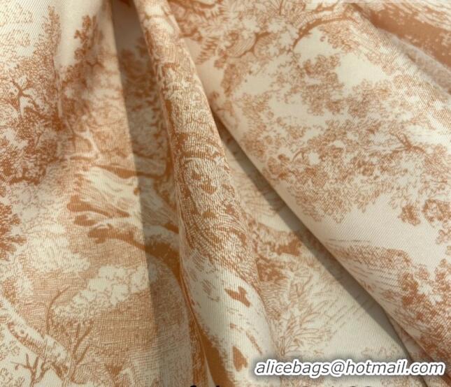 Good Product Dior Toile de Jouy Reverse Silk Sqaure Scarf 90x90cm D22225 Pink
