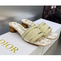 Cheap Price Dior Dway Heeled Slide Sandals 3.5cm in Gold-Tone Embroidered Cotton with Metallic Thread and Jardin d'Hiver