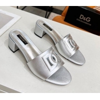 Popular Dolce&Gabbana Cutout DG Calfskin Heel Slide Sandals 5cm Silver 122704