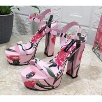 Best Product Dolce & Gabbana DG Printed Calfskin High Heel Platform Sandals 15cm Light Pink 325052
