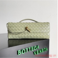 Grade Quality Bottega Veneta Long Clutch Andiamo With Handle 741511 light green
