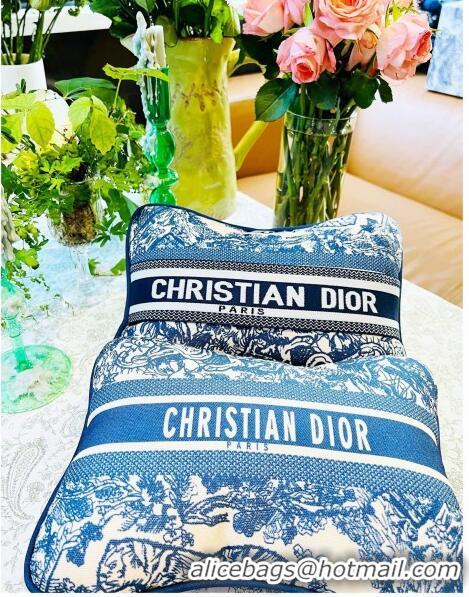 Grade Quality Dior Rectangular Pillow D0214 Blue 2023