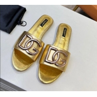 Purchase Dolce & Gabbana Leather Flat Slide Sandals with DG Logo Gold 215092