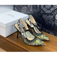 Low Price Dior J'Adior Slingback Pumps 9.5cm in Transparent Mesh Embroidered with Green Multicolor Butterfly Motif 12511