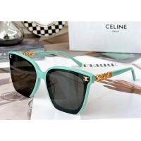  Well Crafted Celine Sunglasses CL40497 2023