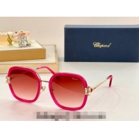 Low Price Chapand Sunglasses SCHG32V 2024