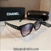 Fashion Show Collections Chanel Sunglasses 030404 Black/Purple 2024