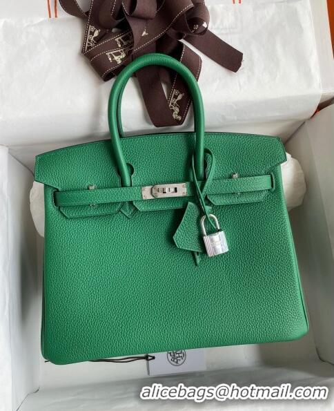 Pretty Style Hermes Birkin 25cm Bag in Original Togo Leather HB025 Bamboo Green/Silver (Pure Handmade)