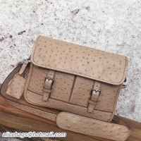 Chic Louis Vuitton M...