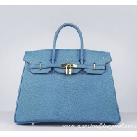 Hermes Birkin 35cm P...